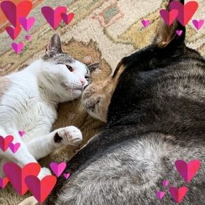 Meet your Posher, Erika